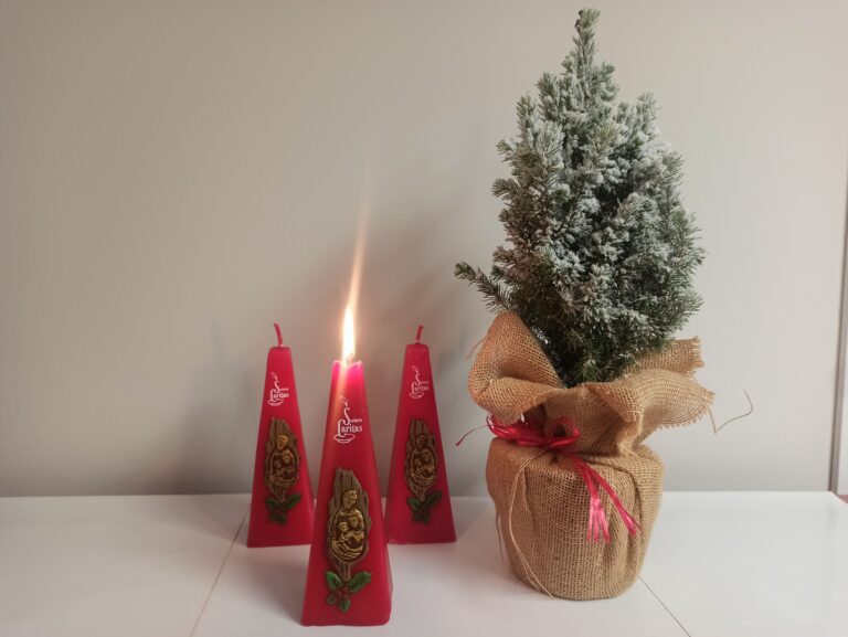 IMG 20251125 120729 768x577