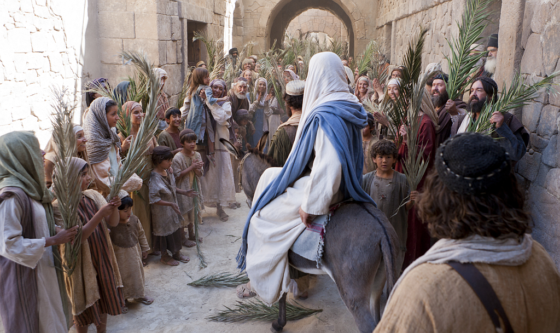 Wjazd Jezusa do Jerozolimy 2019